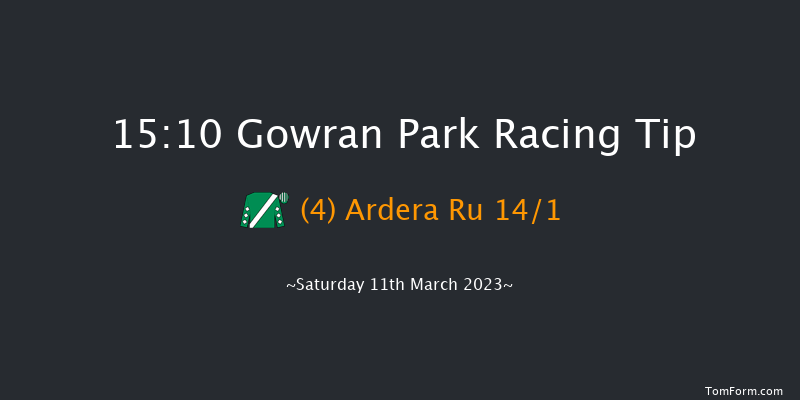 Gowran Park 15:10 Handicap Hurdle 20f Sat 18th Feb 2023