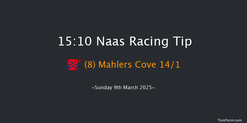 Naas  15:10 Handicap Hurdle 16f Sun 23rd Feb 2025