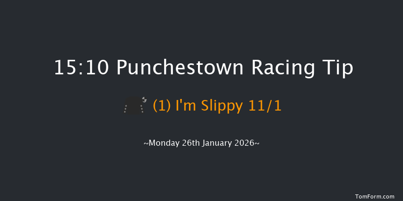 Punchestown 15-10 19f Mon 12th Jan 2026