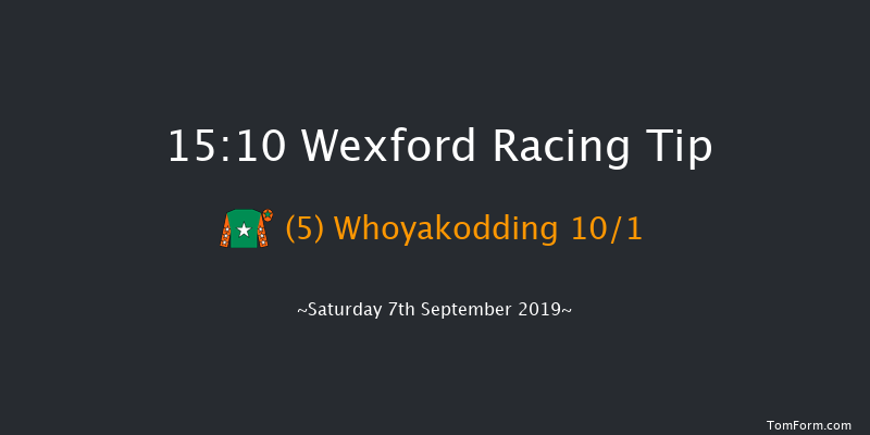 Wexford 15:10 Handicap Hurdle 20f Fri 5th Jul 2019