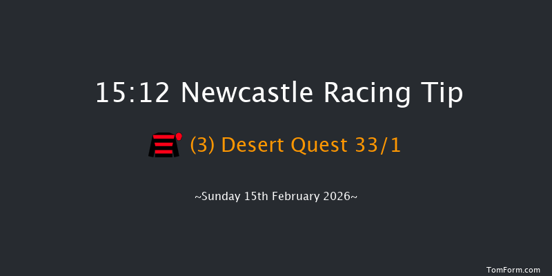 Newcastle 15-12 (Class 6) 12f Sat 14th Feb 2026