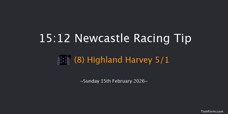 Newcastle 15-12 (Class 6) 12f Sat 14th Feb 2026