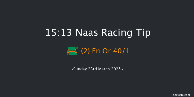 Naas  15:13 Handicap 7f Sun 9th Mar 2025