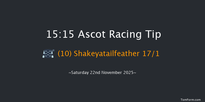 Ascot 15-15 (Class 2) 16f Fri 21st Nov 2025