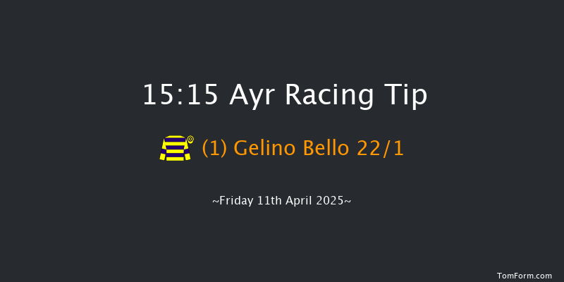 Ayr 15-15 (Class 2) 20f Sat 8th Mar 2025