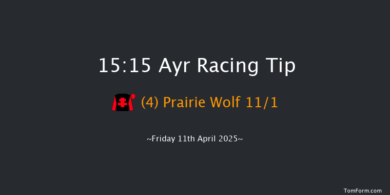 Ayr 15-15 (Class 2) 20f Sat 8th Mar 2025