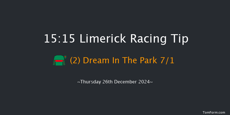 Limerick  15:15 Handicap Chase 18f Tue 19th Nov 2024