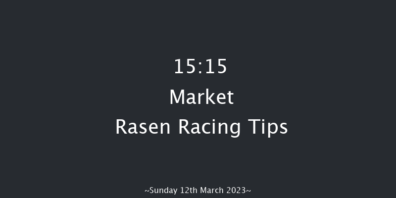 Market Rasen 15:15 Handicap Hurdle (Class 4) 21f Tue 21st Feb 2023