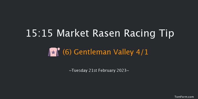 Market Rasen 15:15 Handicap Hurdle (Class 4) 23f Tue 7th Feb 2023
