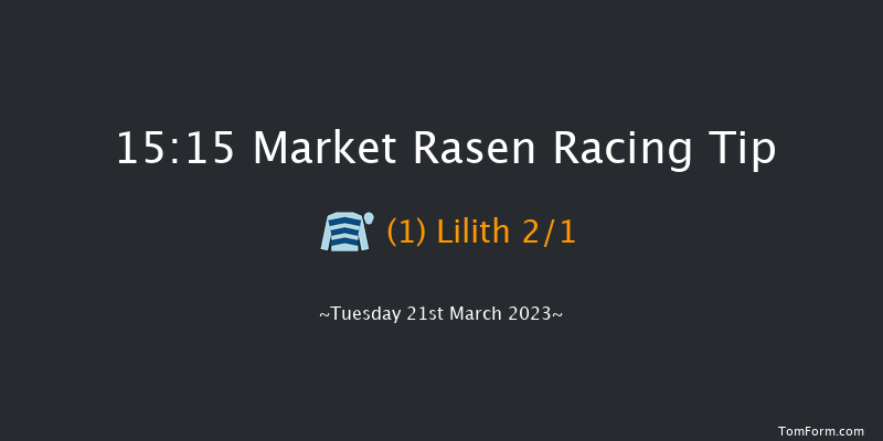 Market Rasen 15:15 Handicap Chase (Class 4) 21f Sun 12th Mar 2023