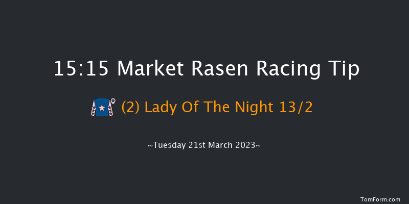 Market Rasen 15:15 Handicap Chase (Class 4) 21f Sun 12th Mar 2023