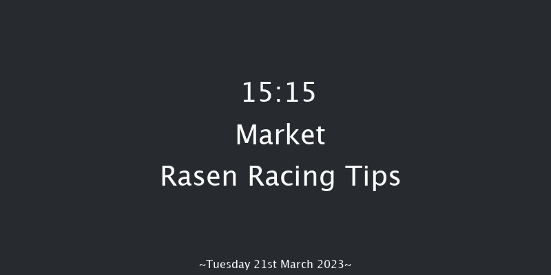 Market Rasen 15:15 Handicap Chase (Class 4) 21f Sun 12th Mar 2023
