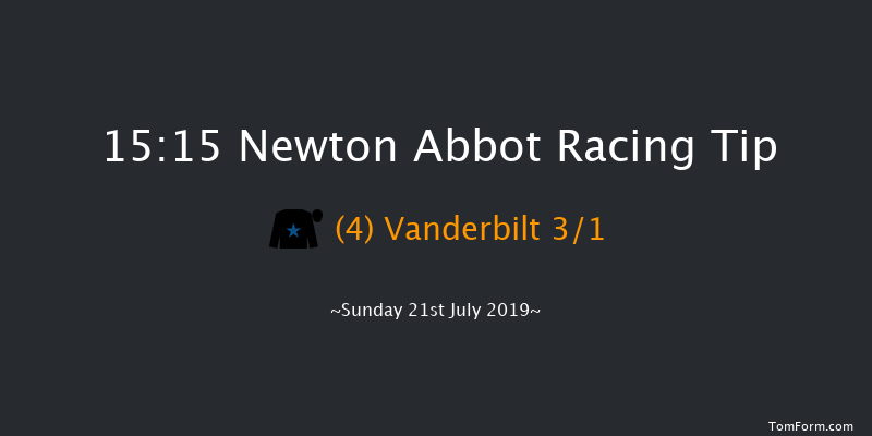 Newton Abbot 15:15 Handicap Hurdle (Class 5) 17f Fri 5th Jul 2019