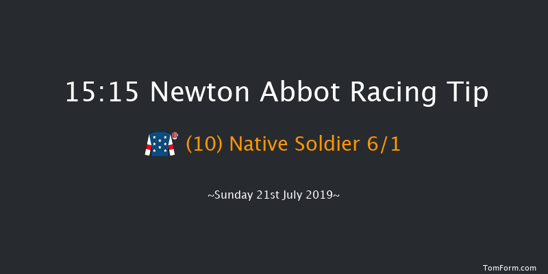 Newton Abbot 15:15 Handicap Hurdle (Class 5) 17f Fri 5th Jul 2019