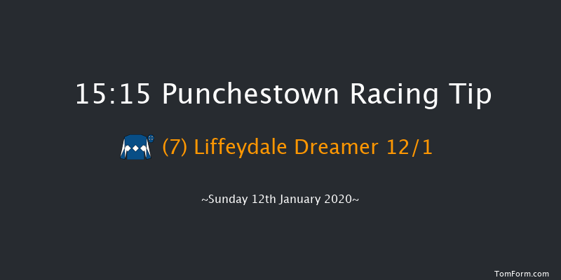 Punchestown 15:15 Handicap Hurdle 20f Tue 31st Dec 2019