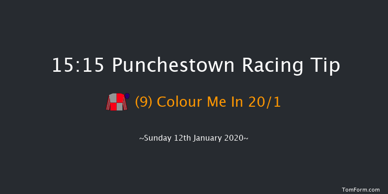 Punchestown 15:15 Handicap Hurdle 20f Tue 31st Dec 2019