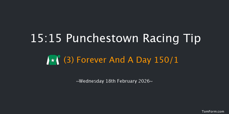Punchestown 15-15 22f Sun 15th Feb 2026