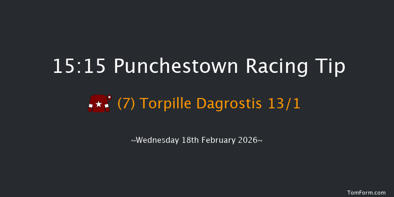 Punchestown 15-15 22f Sun 15th Feb 2026