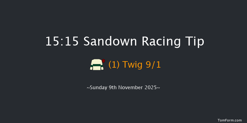 Sandown 15-15 (Class 2) 24f Wed 17th Sep 2025