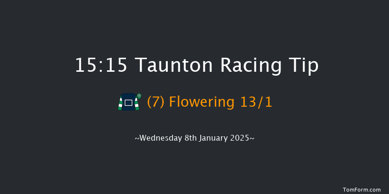 Taunton  15:15 Handicap Hurdle (Class 5) 16f Mon 30th Dec 2024