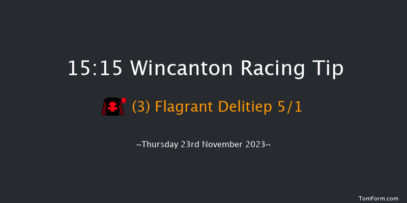 Wincanton 15:15 Handicap Chase (Class 4) 20f Sat 11th Nov 2023