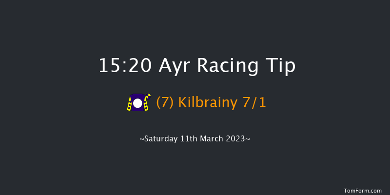 Ayr 15:20 Handicap Hurdle (Class 4) 16f Fri 10th Mar 2023