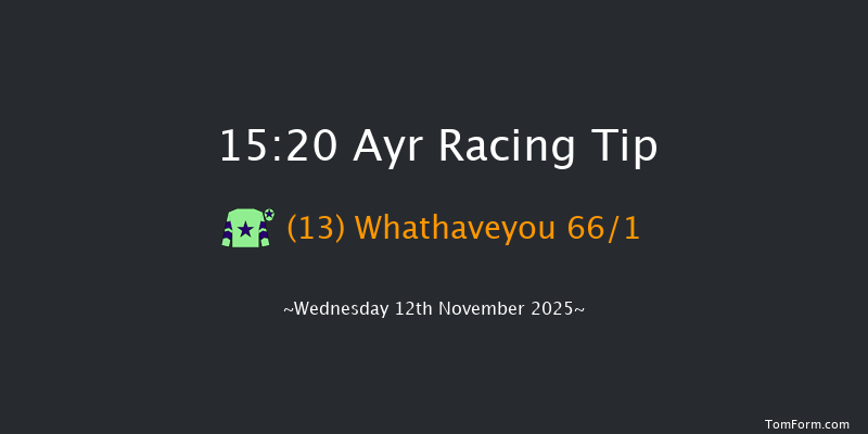 Ayr 15-20 (Class 4) 16f Sat 1st Nov 2025