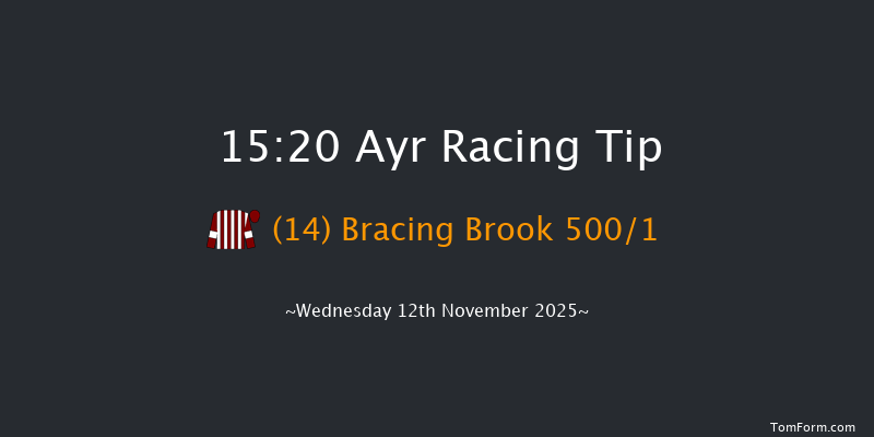 Ayr 15-20 (Class 4) 16f Sat 1st Nov 2025