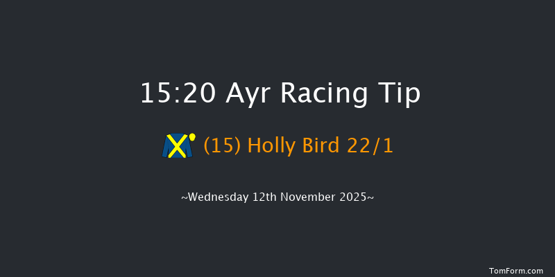 Ayr 15-20 (Class 4) 16f Sat 1st Nov 2025