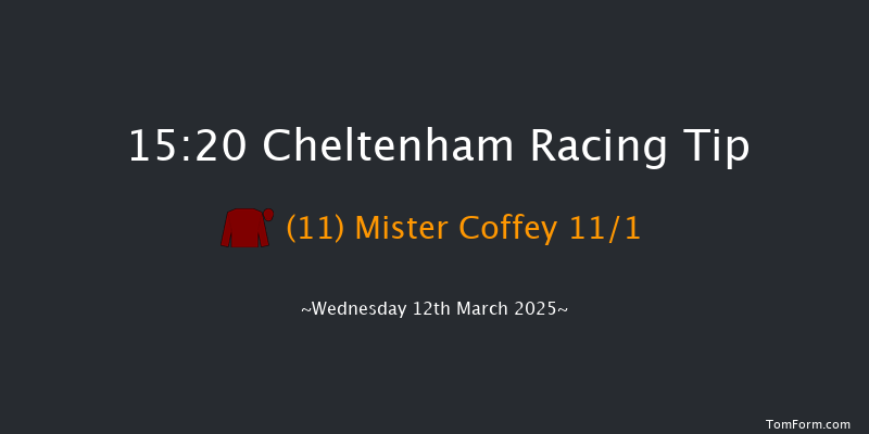 Cheltenham  15:20 Handicap Chase (Class 2) 29f Tue 11th Mar 2025