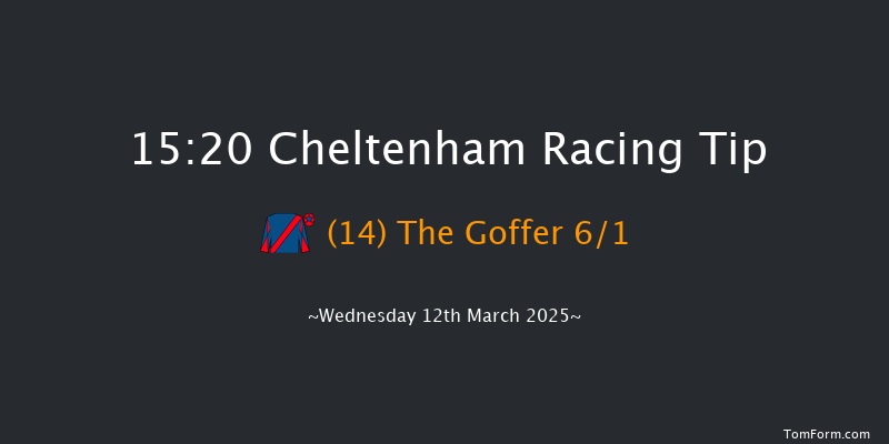 Cheltenham  15:20 Handicap Chase (Class 2) 29f Tue 11th Mar 2025