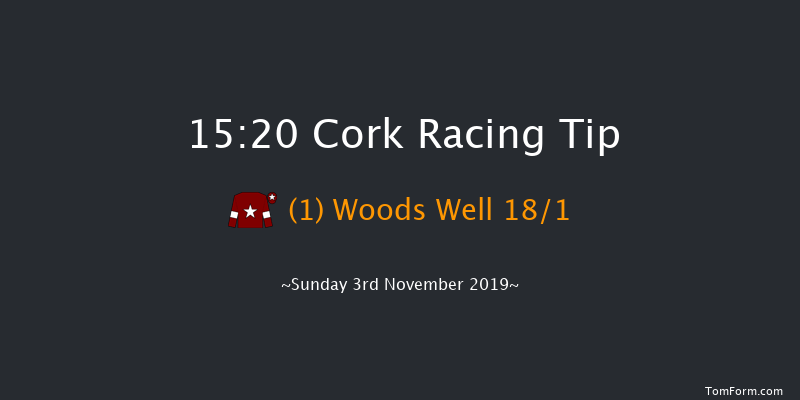 Cork 15:20 Handicap Chase 28f Sun 20th Oct 2019