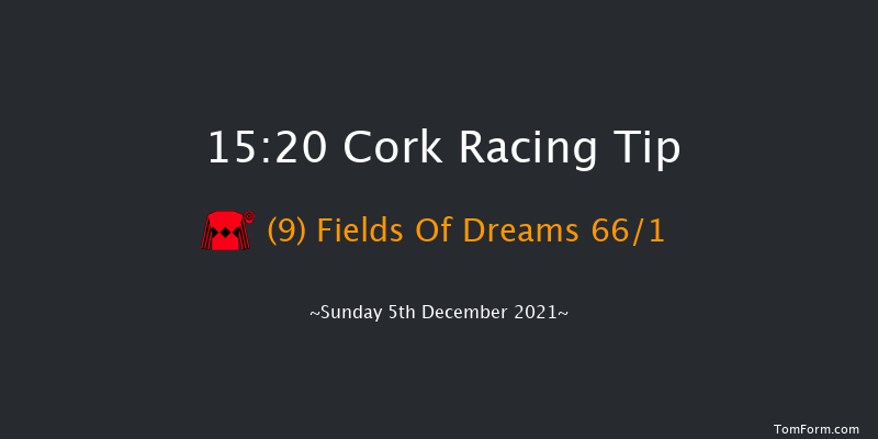 Cork 15:20 Handicap Hurdle 20f Sun 14th Nov 2021
