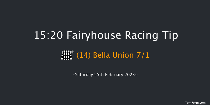 Fairyhouse 15:20 Handicap Hurdle 20f Wed 8th Feb 2023