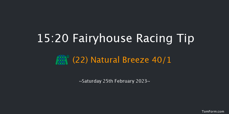 Fairyhouse 15:20 Handicap Hurdle 20f Wed 8th Feb 2023