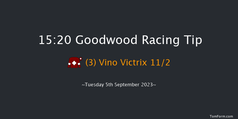 Goodwood 15:20 Handicap (Class 2) 16f Sun 27th Aug 2023