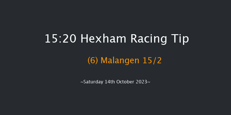 Hexham 15:20 Handicap Hurdle (Class 3) 23f Fri 6th Oct 2023