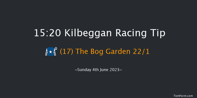 Kilbeggan 15:20 Handicap Hurdle 24f Fri 12th May 2023