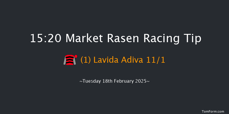 Market Rasen  15:20 Handicap Hurdle (Class 4) 21f Tue 4th Feb 2025