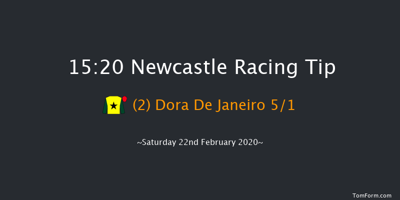 Think Smart At Vertem Mares' Novices' Hurdle Newcastle 15:20 Maiden Hurdle (Class 4) 16f Wed 19th Feb 2020