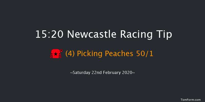 Think Smart At Vertem Mares' Novices' Hurdle Newcastle 15:20 Maiden Hurdle (Class 4) 16f Wed 19th Feb 2020