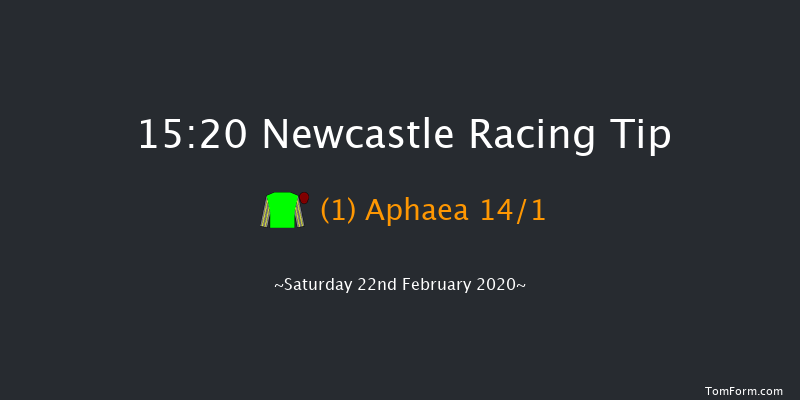 Think Smart At Vertem Mares' Novices' Hurdle Newcastle 15:20 Maiden Hurdle (Class 4) 16f Wed 19th Feb 2020
