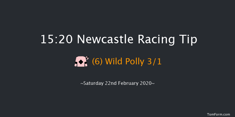 Think Smart At Vertem Mares' Novices' Hurdle Newcastle 15:20 Maiden Hurdle (Class 4) 16f Wed 19th Feb 2020