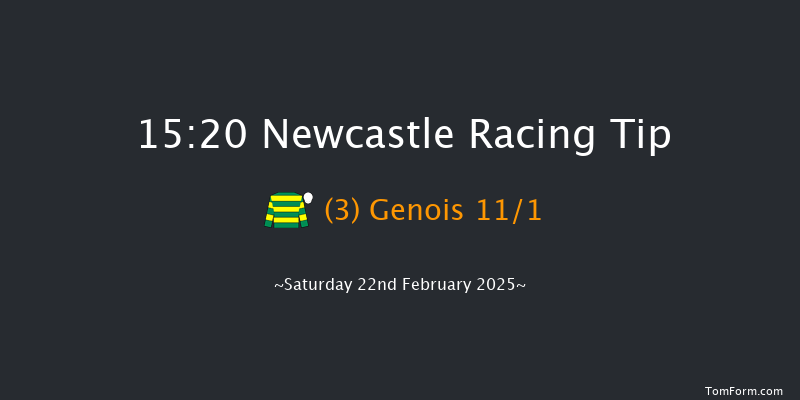 Newcastle  15:20 Handicap Chase (Class 3) 20f Thu 20th Feb 2025