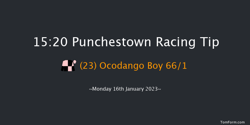 Punchestown 15:20 Handicap Hurdle 24f Sun 15th Jan 2023