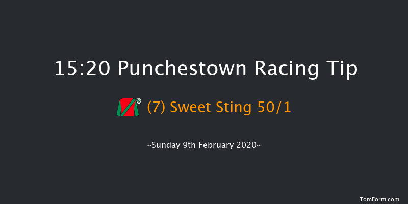 David Trundley Artist At Punchestown Handicap Hurdle (80-109) Punchestown 15:20 Handicap Hurdle 24f Wed 15th Jan 2020