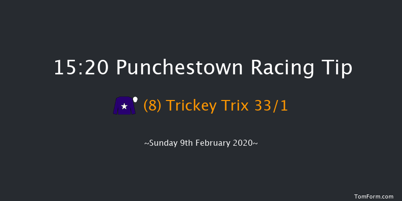 David Trundley Artist At Punchestown Handicap Hurdle (80-109) Punchestown 15:20 Handicap Hurdle 24f Wed 15th Jan 2020
