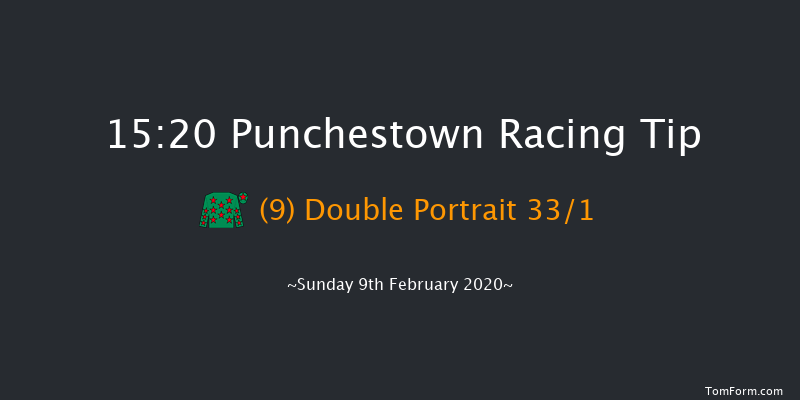 David Trundley Artist At Punchestown Handicap Hurdle (80-109) Punchestown 15:20 Handicap Hurdle 24f Wed 15th Jan 2020