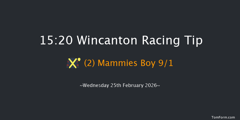 Wincanton 15-20 (Class 4) 19f Sat 14th Feb 2026