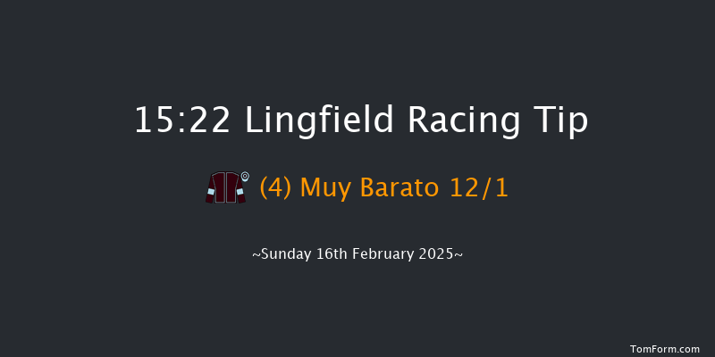 Lingfield  15:22 Stakes (Class 6) 8f Tue 11th Feb 2025